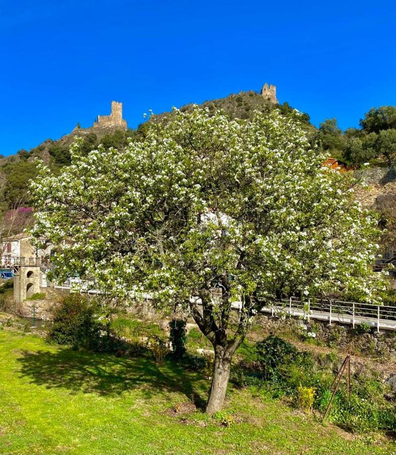 4 Star Cabaret Lastours 4 Chateaux Amazing Cathar Landmark Private Luxury 4 Star Air Conditioned Terrasse With Views Kültér fotó